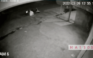 Thanh niên say rượu dừng xe ngủ giữa quốc lộ, diễn biến gay cấn sau đó khiến netizen 'căng mắt' theo dõi