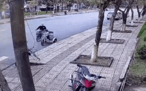 Clip: Gã nghiện cướp tiền, điện thoại của người ngồi xe lăn bán vé số dạo và cái kết 'đắng ngắt'