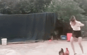 Clip: Đang yên đang lành, cô gái trêu gà liền bị tấn công tới tấp