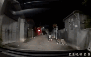 Thót tim cảnh bé trai đi xe đạp ngã nhào trước đầu ô tô trong đêm vắng