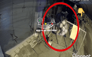 Clip: Trèo rào trộm chùm bóng đá, thanh niên bị chủ nhà đuổi đánh tới tấp lúc giữa đêm