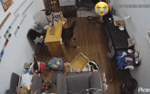 Ngồi tát nước cả buổi sau mưa lớn, chủ tiệm làm đẹp ngồi thừ bất lực sau khi chiếc bán tải chạy ngang qua