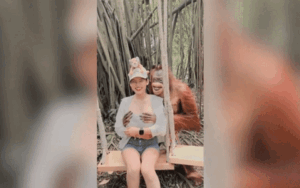Clip: Đười ươi đực táo tợn ôm ngực của nữ du khách xinh đẹp, hành động sau đó thêm bất ngờ