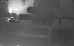 Nhờ hàng xóm vào nhà cho mèo ăn, người phụ nữ 'kinh hồn bạt vía' khi xem lại camera