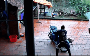 Đến chơi nhà bạn gái gặp chó dữ, thanh niên liền thể hiện 'võ công thâm hậu' khiến dân mạng cười ngất