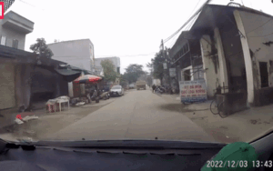 Cụ ông bất ngờ lao sang đường khiến tài xế 'hú hồn' đạp phanh