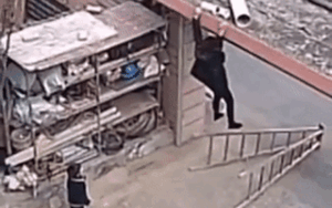 Thấy bà nội rơi vào hiểm cảnh, bé trai 4 tuổi có hành động 'phi thường'