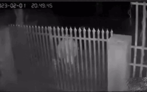 Mở cổng làm rơi chìa khóa vào trong, bước xử lý tiếp đó của vợ khiến chồng khóc thét khi xem lại camera