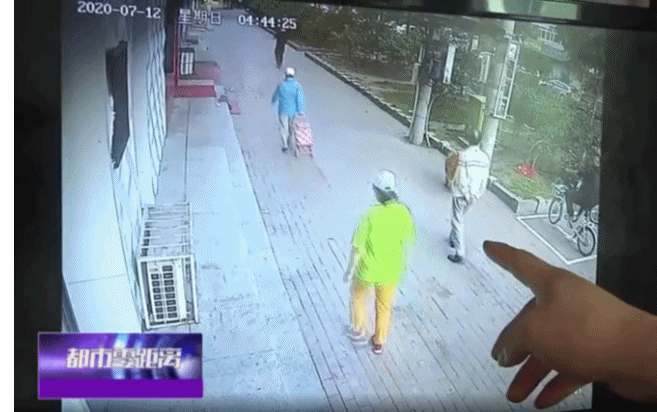 Đang dắt chó đi dạo thì mèo rơi trúng đầu, người đàn ông bất tỉnh tại chỗ Ảnh 2