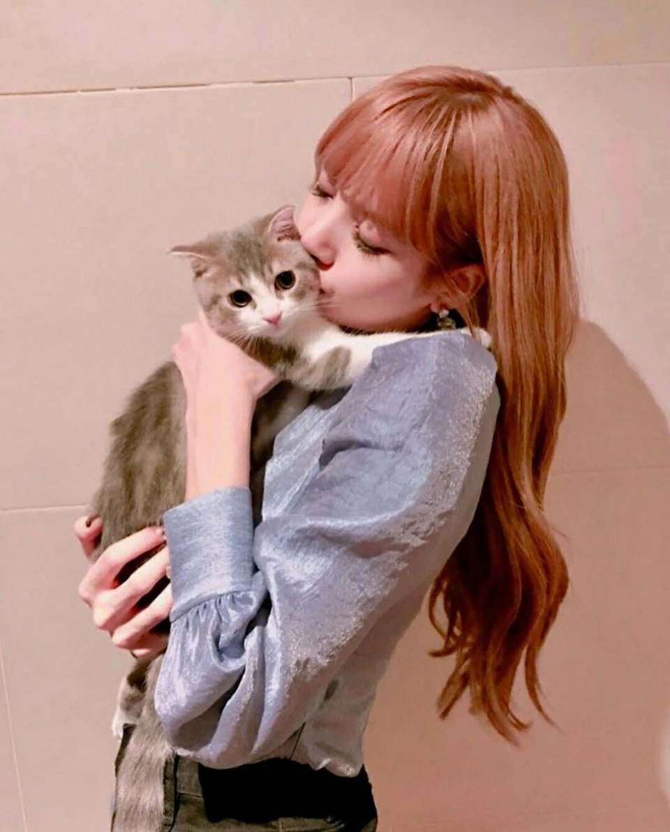 Ngắm nhìn loạt ảnh của Lisa (BLACKPINK) và bốn 'tiểu boss' mèo - Saostar.vn