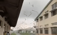 Lốc xoáy kinh hoàng làm tốc mái tôn, sập nhà xưởng ở Tiền Giang Ảnh 2