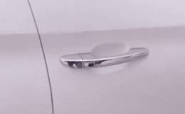 Clip: Vừa mở cửa xe sau 10 ngày gửi tại bãi, chủ ô tô 'sởn gai ốc' khi phát hiện thứ này bên trong Ảnh 1