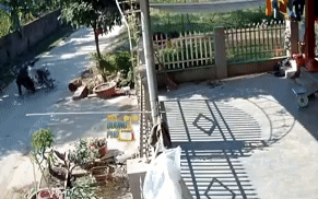 Clip: Pha trộm đồ siêu cồng kềnh của nam thanh niên khiến gia chủ cũng phải bật cười Ảnh 2