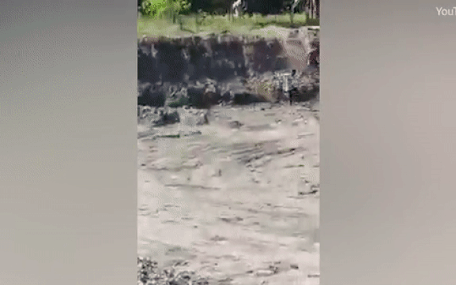 Lạc vào thị trấn, hổ Bengal vồ người đàn ông ngã xuống hố sâu Ảnh 2