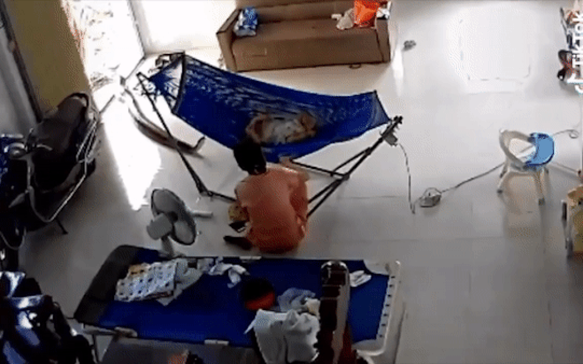 Clip: Đứng tim khoảnh khắc trăn khủng bò vào nhà, mẹ hoảng hốt vội ôm con nhỏ tháo chạy Ảnh 2