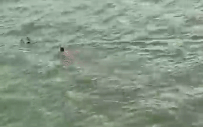 Clip: Người đàn ông ngoại quốc bất chấp nguy hiểm, lao xuống sông Hàn cứu nam thanh niên tự tử Ảnh 2