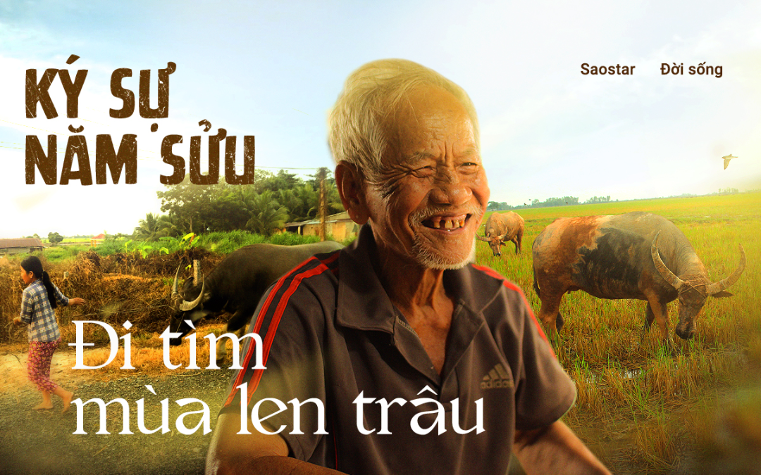 Ký sự năm Sửu: Đi tìm mùa len trâu Ảnh 2