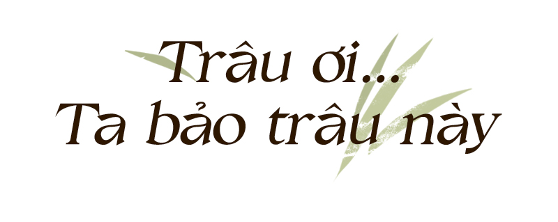 Ký sự năm Sửu: Đi tìm mùa len trâu Ảnh 6