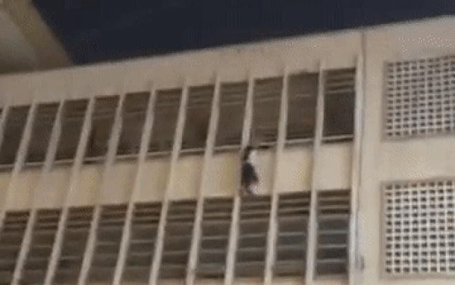 Nghẹt thở theo dõi cảnh giải cứu nữ sinh đu bám lan can tầng 3 trường học ở TP.HCM Ảnh 2