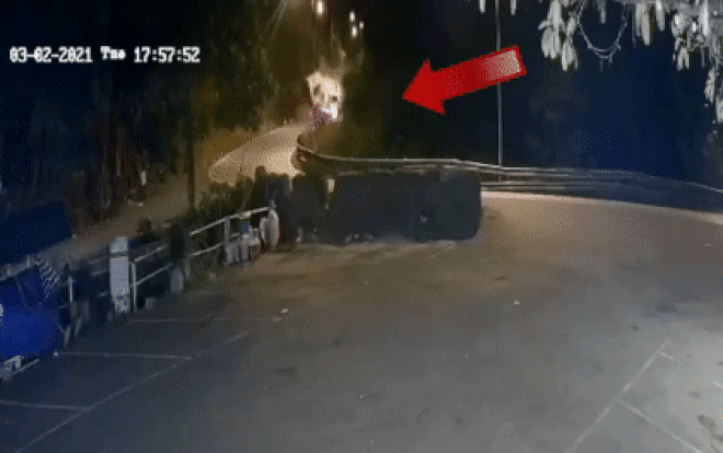 Camera ghi lại khoảnh khắc xe container lao xuống vực sâu sau va chạm với xe tải trên đèo Bảo Lộc Ảnh 2