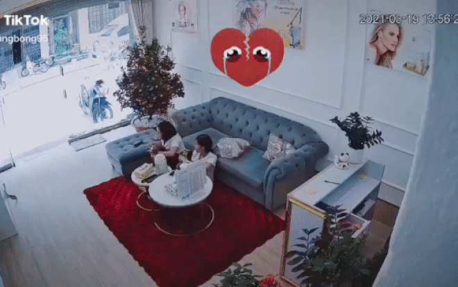 Clip: Phát hiện rắn bò vào nhà, 2 cô gái hoảng hốt nhảy lên ghế tránh né Ảnh 2