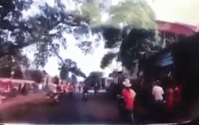 Khoảnh khắc kinh hãi cành cây đa 300 tuổi ở Nghệ An rơi xuống đè trúng 4 học sinh Ảnh 2