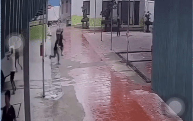 Clip: Khoảnh khắc trâu điên lao vào gara ô tô làm loạn, người người co giò bỏ chạy Ảnh 2