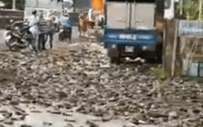 Xe tải lật khiến 3 tấn cá rô nằm kín mặt đường, hành động của người dân sau đó được khen ngợi hết lời Ảnh 2