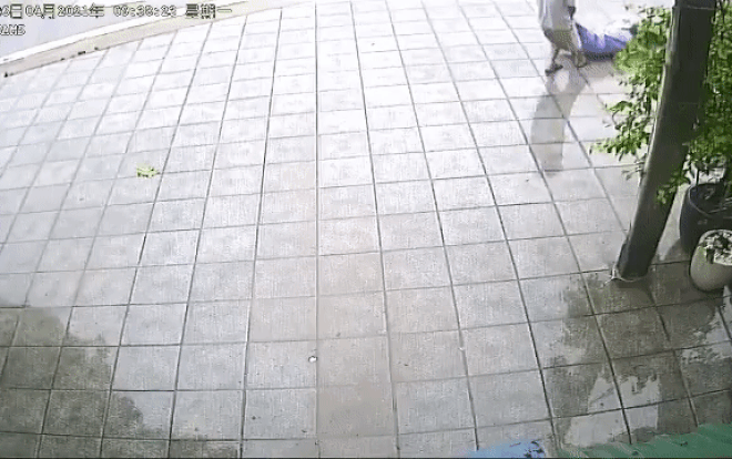 Clip: Người đàn ông bất tỉnh bị lôi ra đường 'vứt' giữa trời mưa Ảnh 2