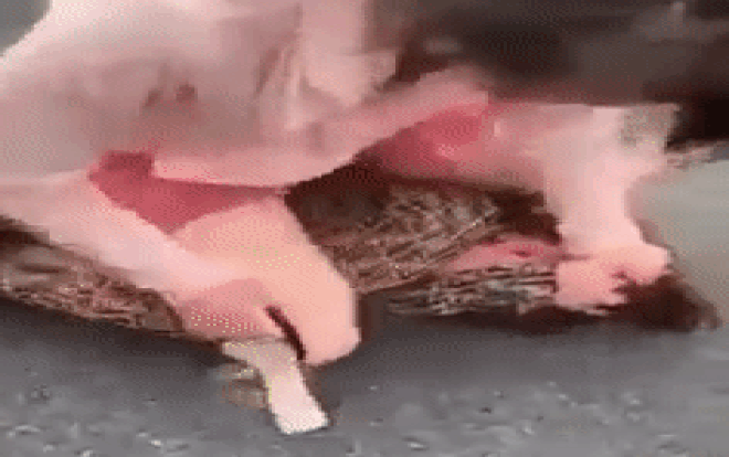 Clip: Vợ đè bồ nhí xuống đường, cầm giày cao gót phang tới tấp vào đầu dù bị can ngăn Ảnh 2