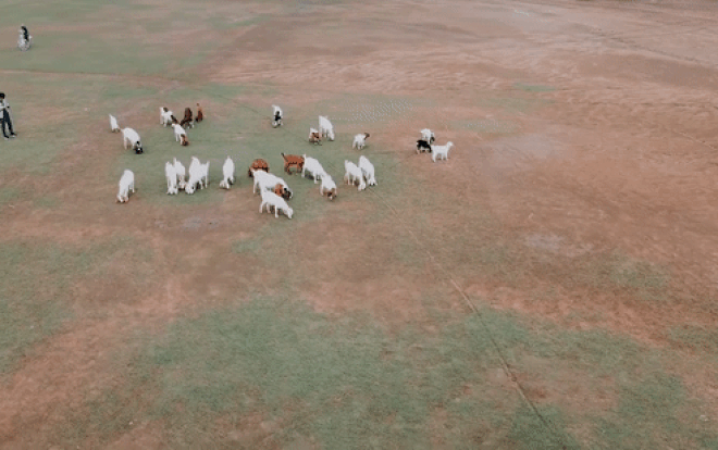 Thảo nguyên xanh giữa lòng Biển Hồ mùa khô Ảnh 2