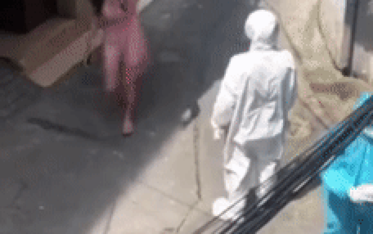 Cô gái nằng nặc đòi kéo vali về quê vì 'không có ai nuôi', đứng cãi tay đôi với 2 cán bộ y tế gây bức xúc Ảnh 2