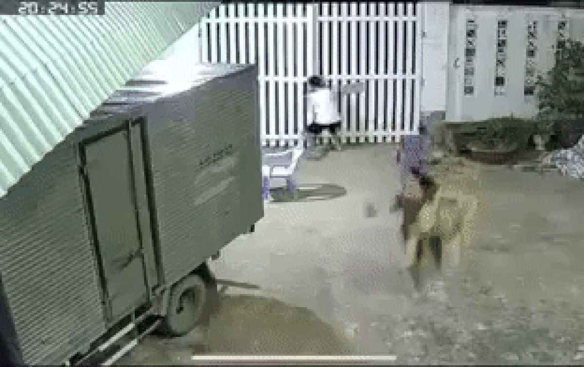 Nhóm người không đeo khẩu trang, mang ghế ra đường hóng mát bỏ chạy tán loạn khi thấy tổ tuần tra Ảnh 2