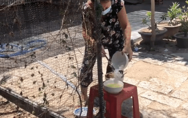 Con trai từ Sài Gòn về phải cách ly ngoài vườn, mẹ vội đưa cơm rồi chạy vọt vào nhà làm ai cũng bật cười Ảnh 2