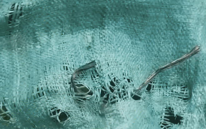 Chàng trai ngỡ ngàng khi nhận thùng đồ tiếp tế từ quê: 'Chút chút' của mẹ là thế này đây! Ảnh 2