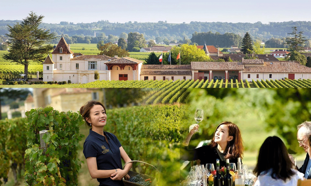 Giữa tin bị phong sát, fan choáng ngợp vì điền trang trăm tỷ của Triệu Vy tại Pháp, quả giàu số 1 Cbiz Ảnh 2