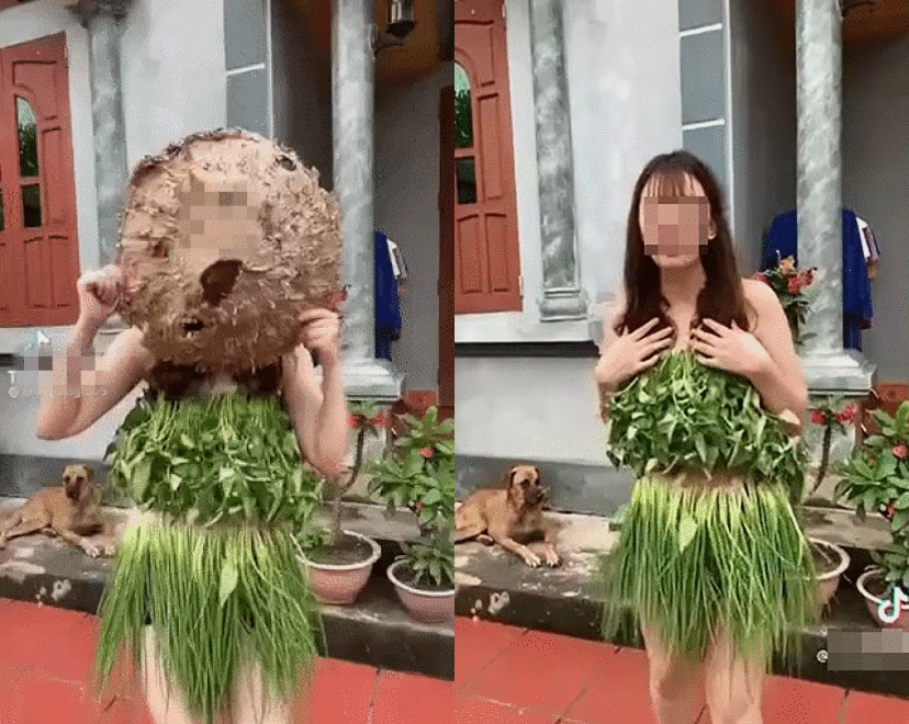 Lấy rau xanh làm váy áo giữa mùa dịch, cô gái nhận cả 'rổ gạch đá' từ dân mạng Ảnh 2