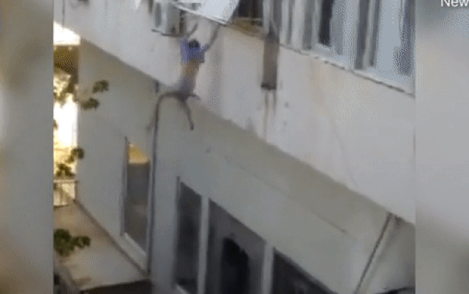 Thiếu nữ hoảng loạn nhảy khỏi cửa sổ xuống đường hé lộ tình cảnh thảm thương Ảnh 2