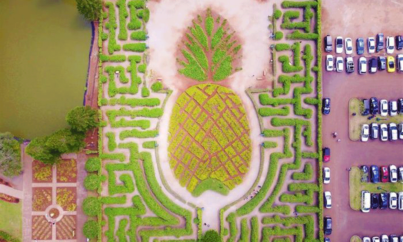 Sửng sốt khi ngắm những điểm du lịch hot trên thế giới từ trên cao Ảnh 2