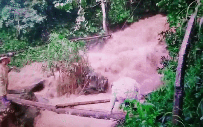 'Đứng tim' theo dõi cảnh cô giáo mầm non cõng con nhỏ vượt dòng lũ chảy xiết trên cây cầu tạm bợ Ảnh 2