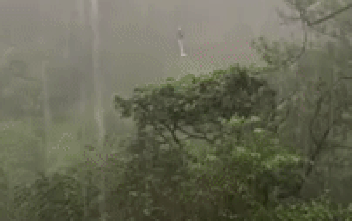 Clip: Chơi trò mạo hiểm, du khách không may bị treo lơ lửng giữa rừng đúng lúc trời đổ mưa tầm tã Ảnh 2