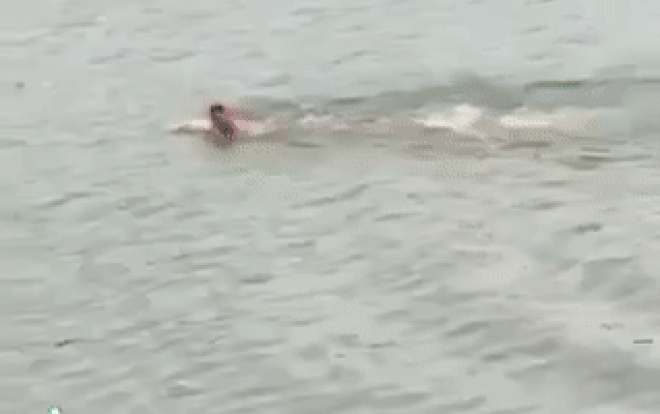 Clip: Thấy cô gái chới với giữa sông, người đàn ông vội lao xuống giải cứu, danh tính của anh còn sốc hơn Ảnh 2