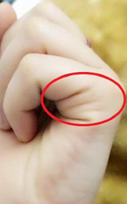 Tiết lộ vận mệnh tình duyên qua đường chỉ tay