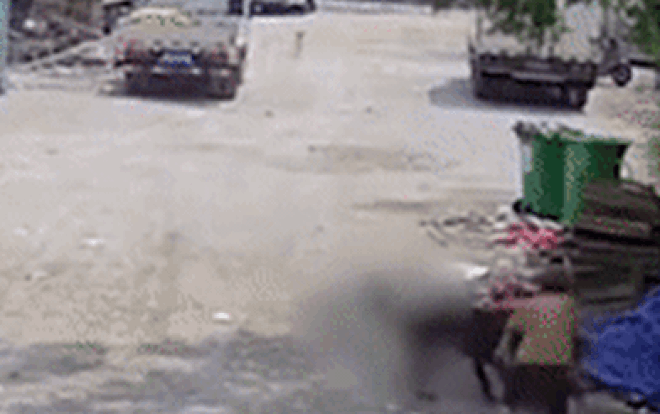 Chó dữ tấn công cụ bà ngay giữa đường, phản ứng của tài xế xe tải gần đó gây phẫn nộ Ảnh 2