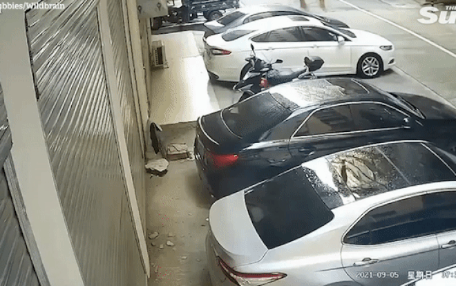 Cô gái 'bán khỏa thân' rơi từ ban công làm bẹp nóc ô tô, lý do khiến nhiều người ngao ngán Ảnh 2