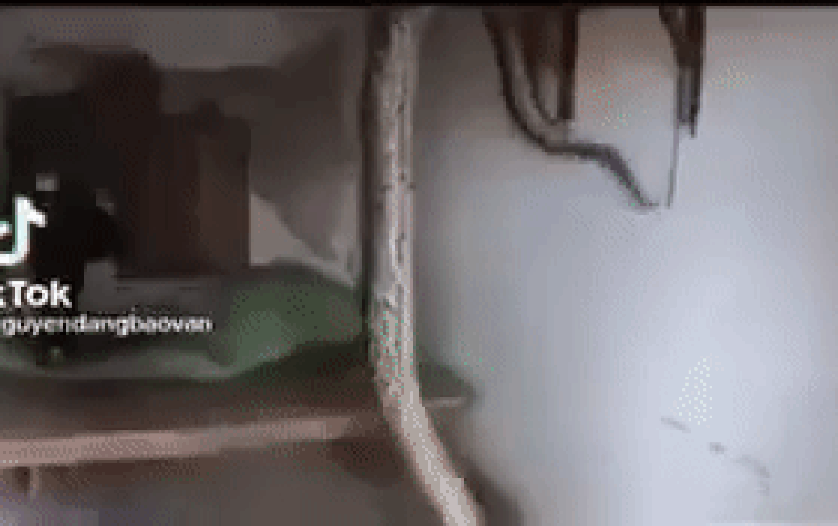 Thót tim con trăn 'khủng' trườn lên cả bàn thờ, hung hăng tấn công người đàn ông Ảnh 2