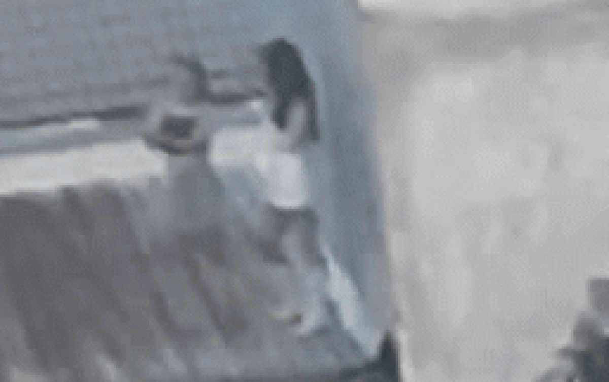 Clip: 2 cô gái trẻ ăn mặc gợi cảm trèo lên mái nhà quay video khiến dân tình tranh cãi Ảnh 2