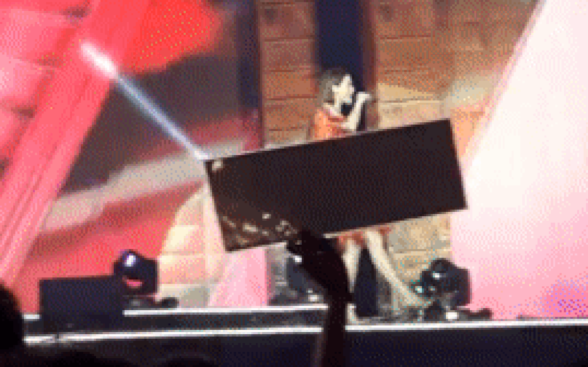 Đang trình diễn cực sung, khán giả 'hết hồn' khi Hồ Ngọc Hà bị pháo hoa sân khấu bắn trúng người Ảnh 2