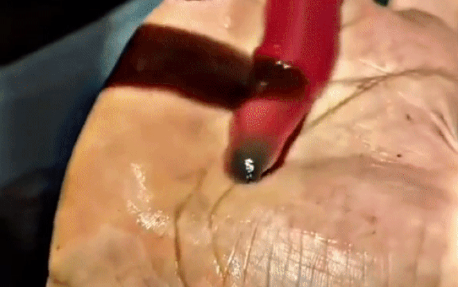 Clip sinh vật lạ phun nọc như nhả tơ thu hút hơn 5 triệu lượt xem, netizen run sợ nháo nhác hỏi con gì Ảnh 2