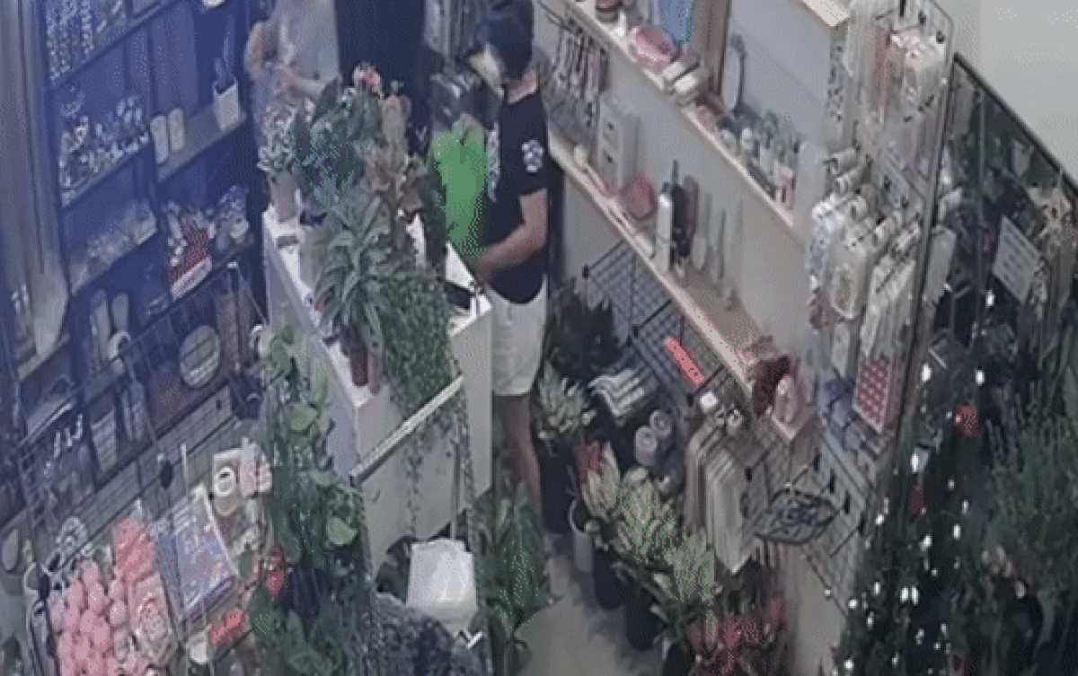 Clip: Vờ vào cửa hàng mua cây cảnh, người phụ nữ trung niên tiện tay 'cuỗm' luôn điện thoại gần 30 triệu Ảnh 2